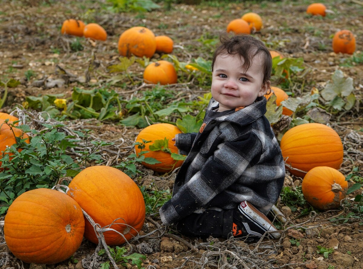 Mummy's Little Pumpkin - Samantha Innard